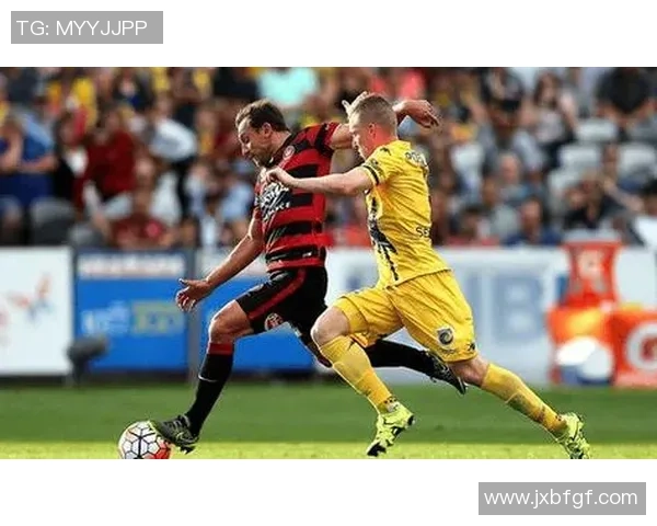 阿德莱德与西悉尼比赛结果预测分析及比分展望